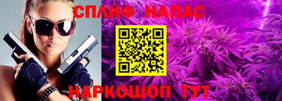 гидра Заволжье