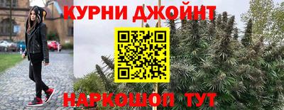 гидра Заволжье