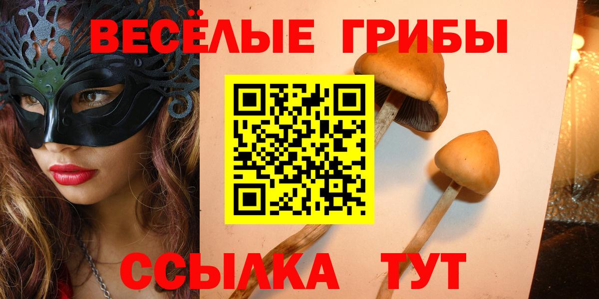 Псилоцибиновые грибы мухоморы  Псилоцибиновые грибы ЛСД  Назрань  Вход с VPN 